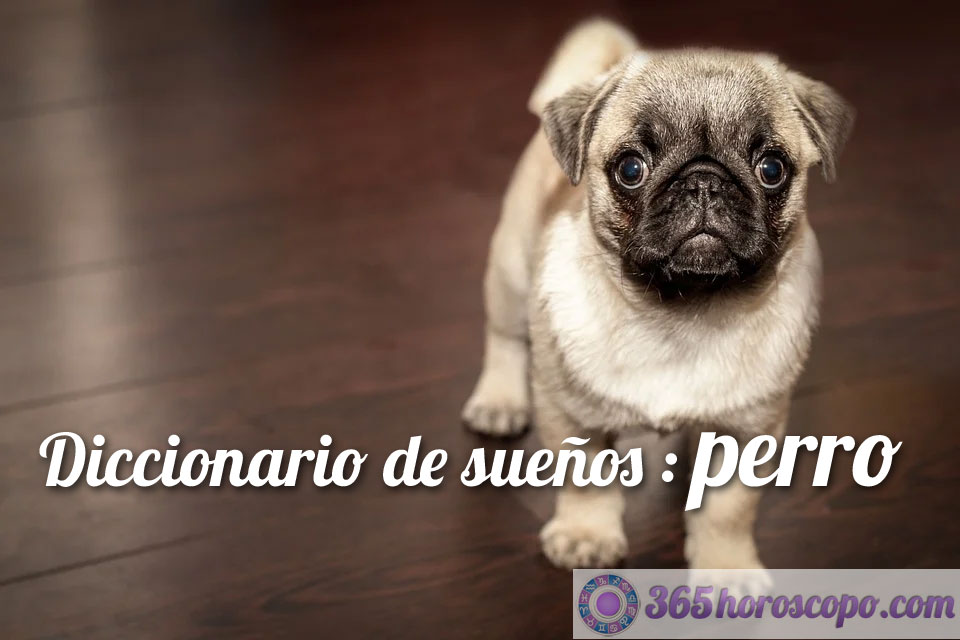 La interpretación de los sueños con perro
